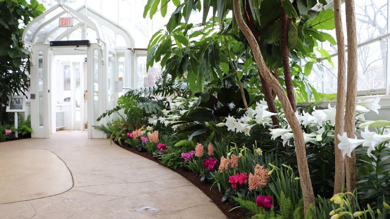 Wilder Park Conservatory Elmhurst Park District